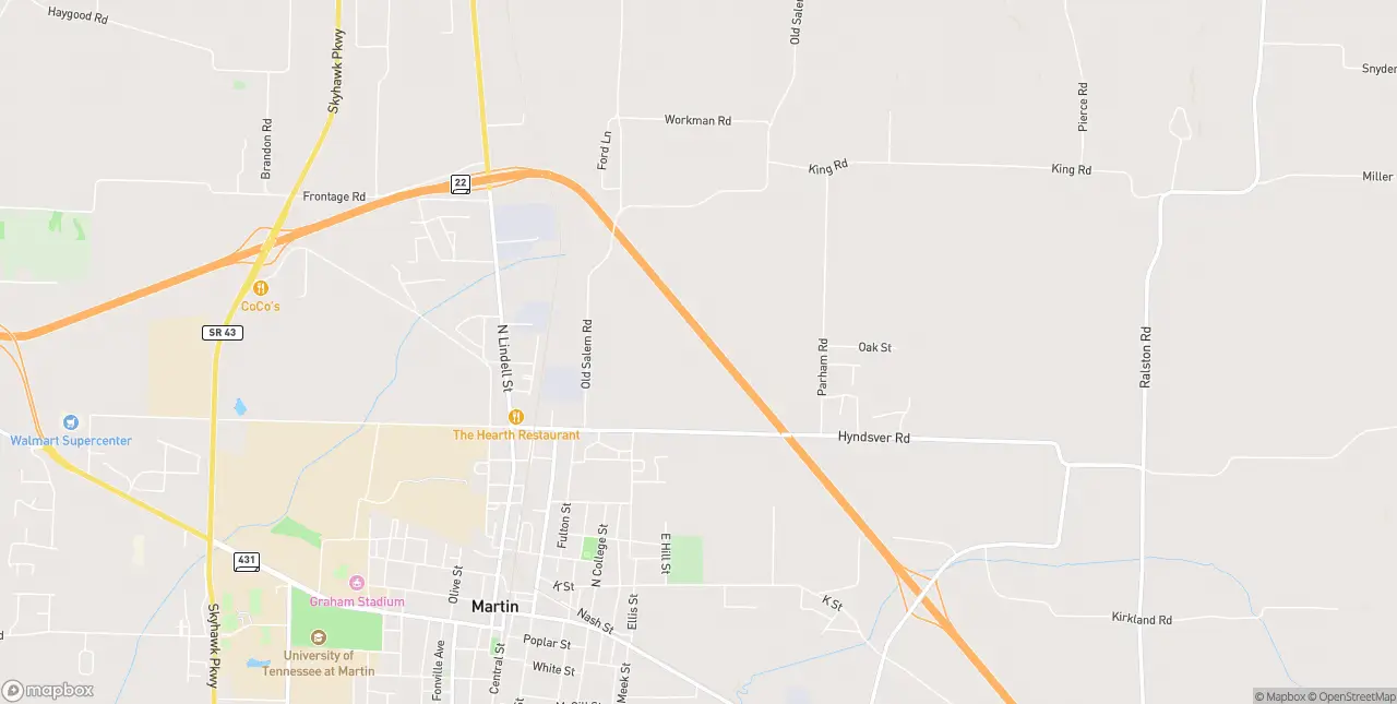 Internet in Martin