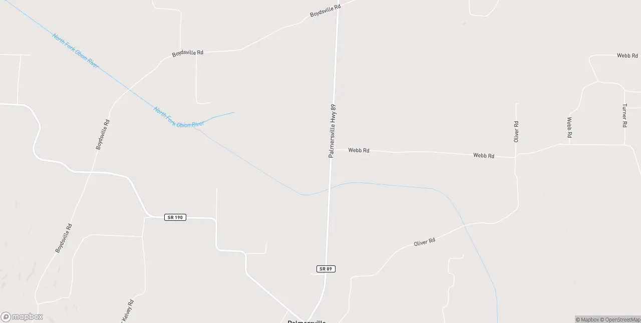 Internet in Palmersville