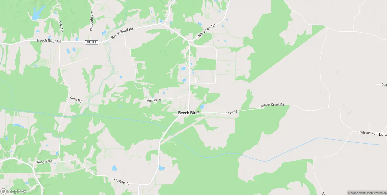 Internet in Beech Bluff