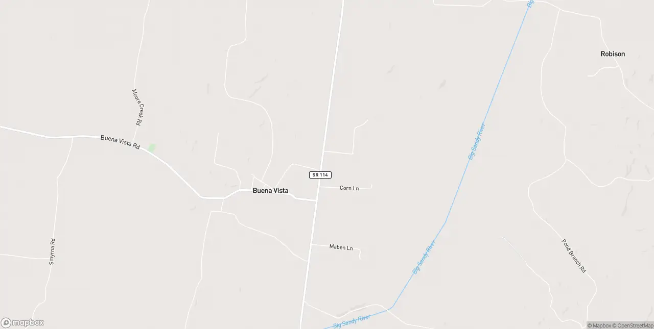 Internet in Buena Vista