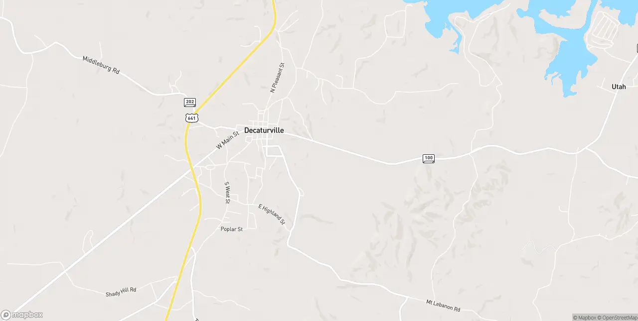 Internet in Decaturville