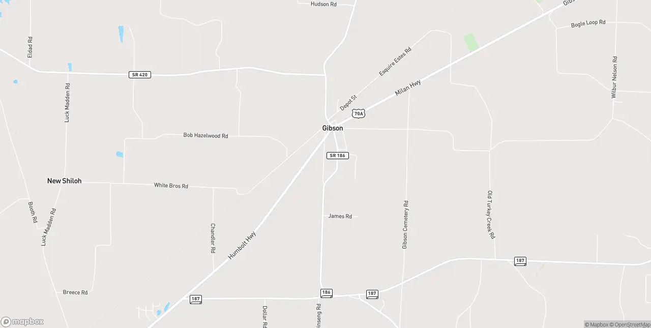 Internet in Gibson