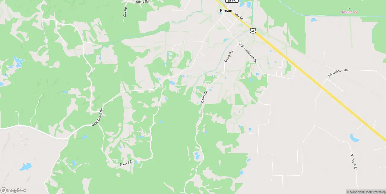 Internet in Pinson