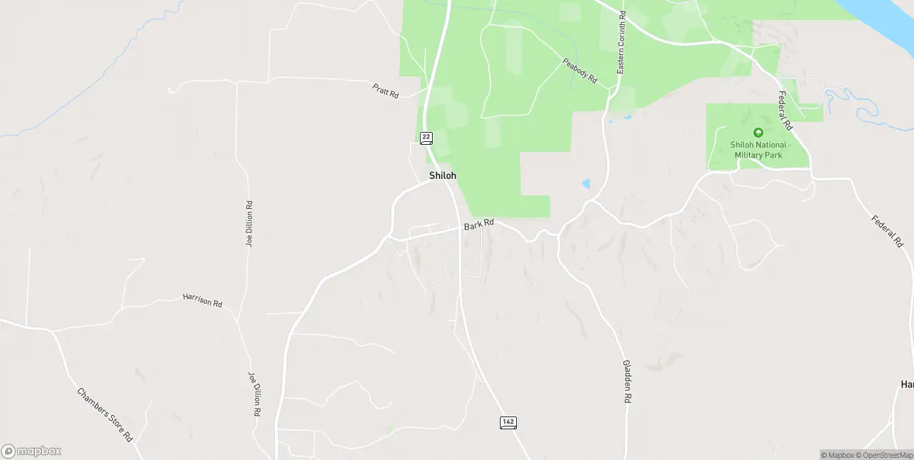 Internet in Shiloh