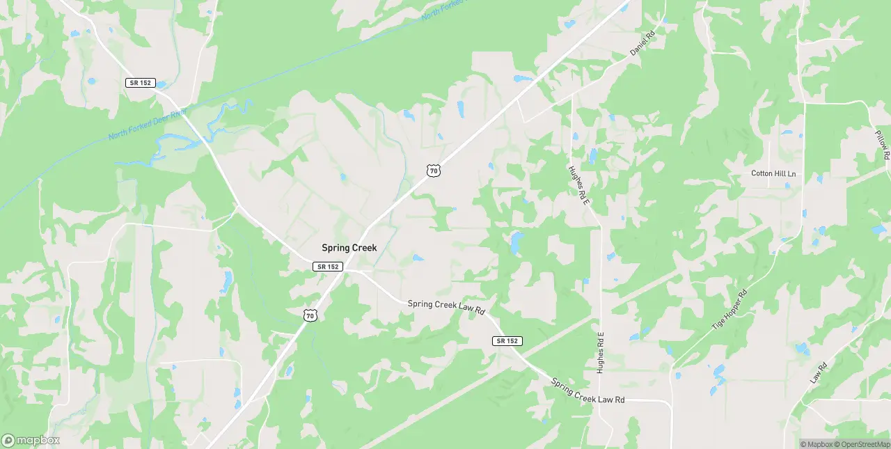 Internet in Spring Creek