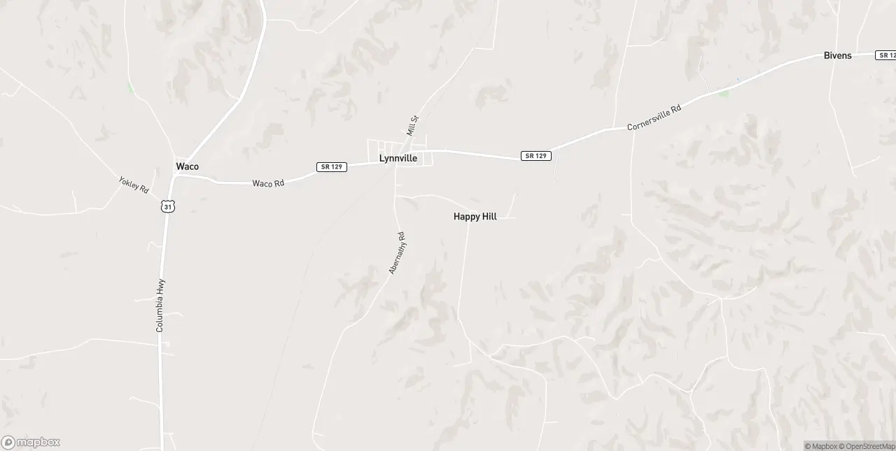 Internet in Lynnville