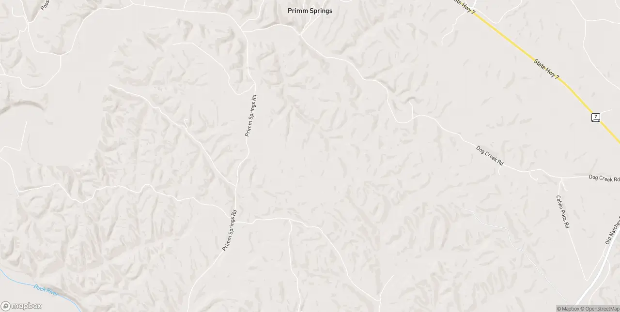 Internet in Primm Springs