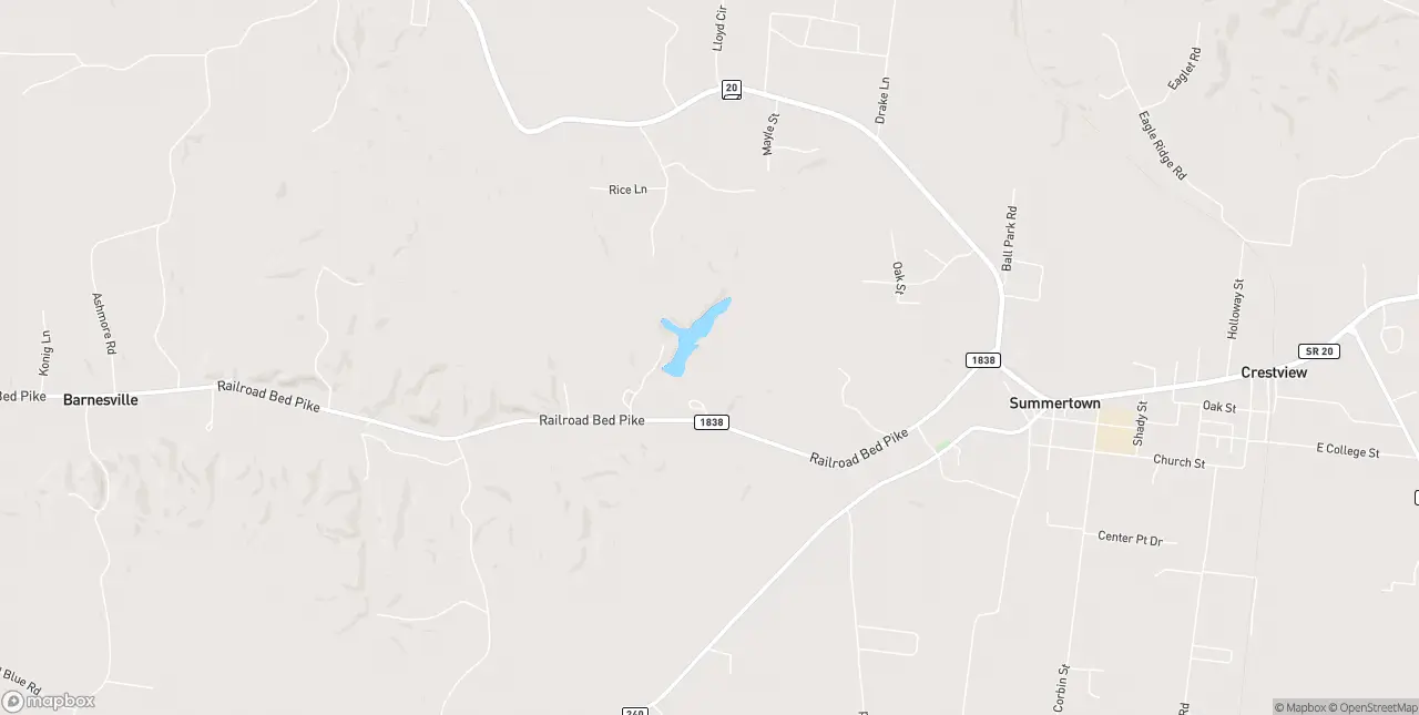 Internet in Summertown