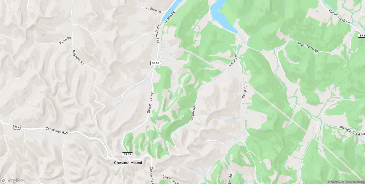 Internet in Chestnut Mound