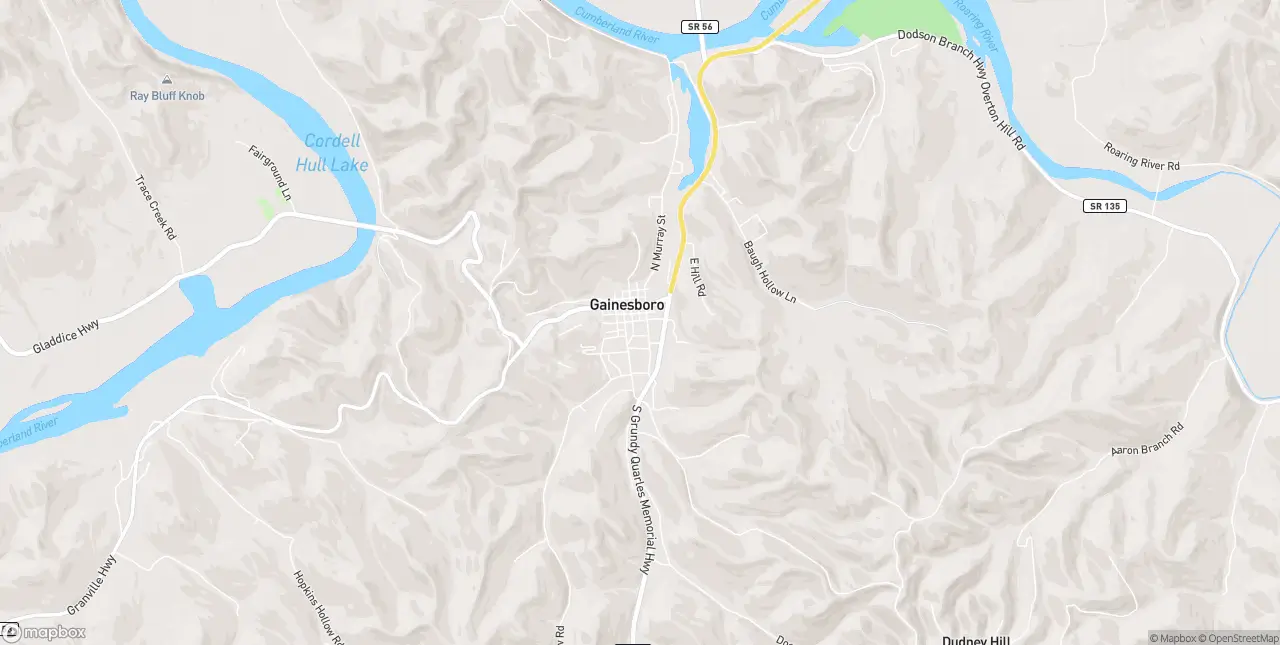 Internet in Gainesboro