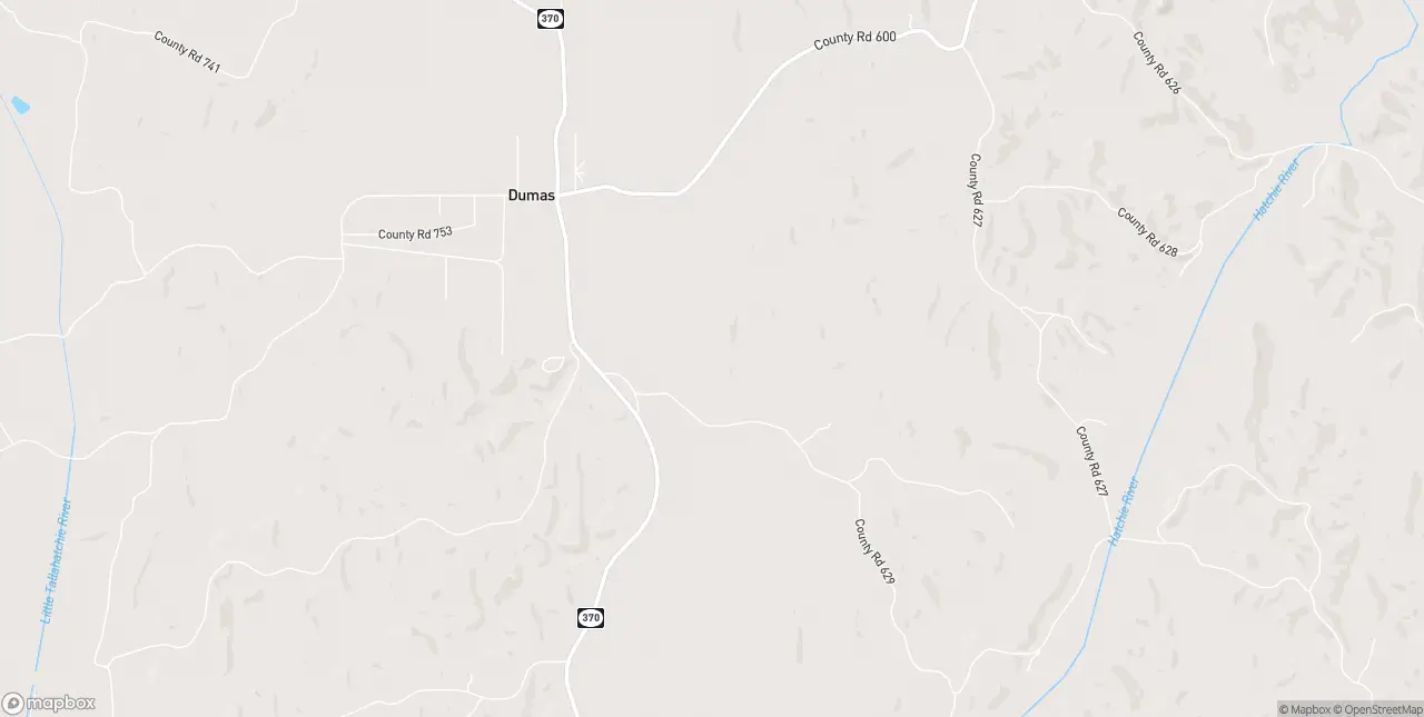 Internet in Dumas