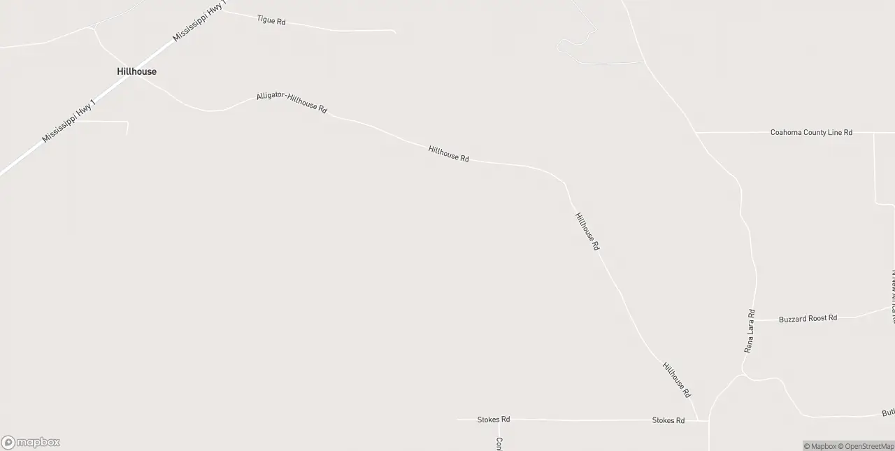 Internet in Alligator