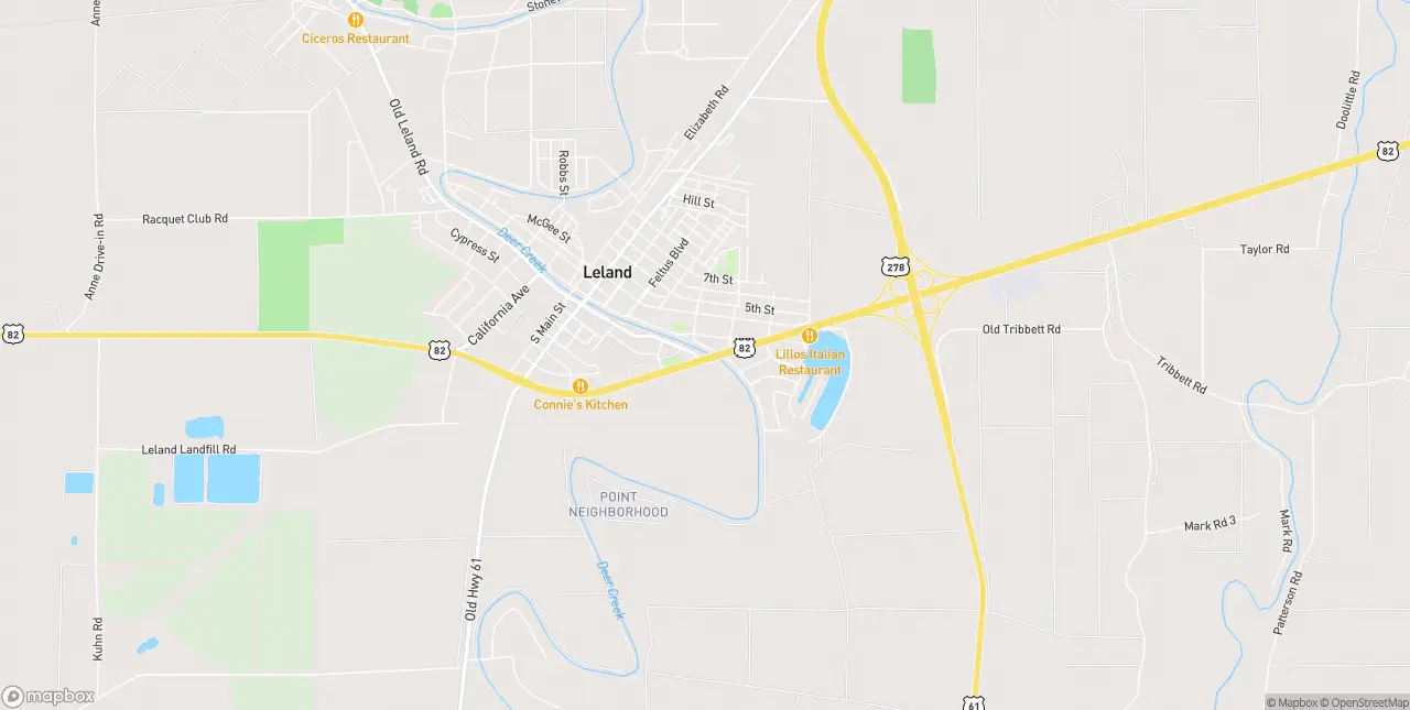Internet in Leland