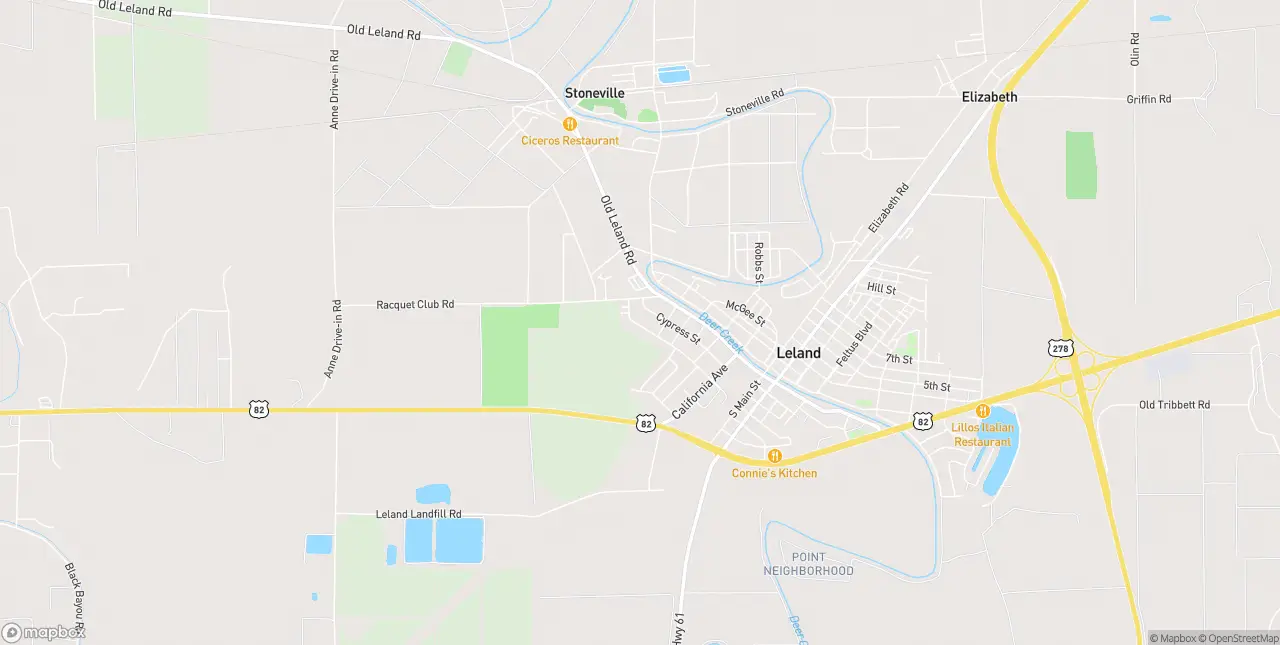 Internet in Stoneville