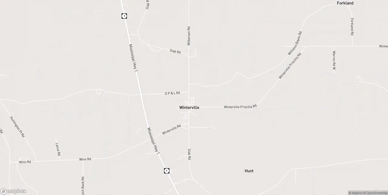 Internet in Winterville