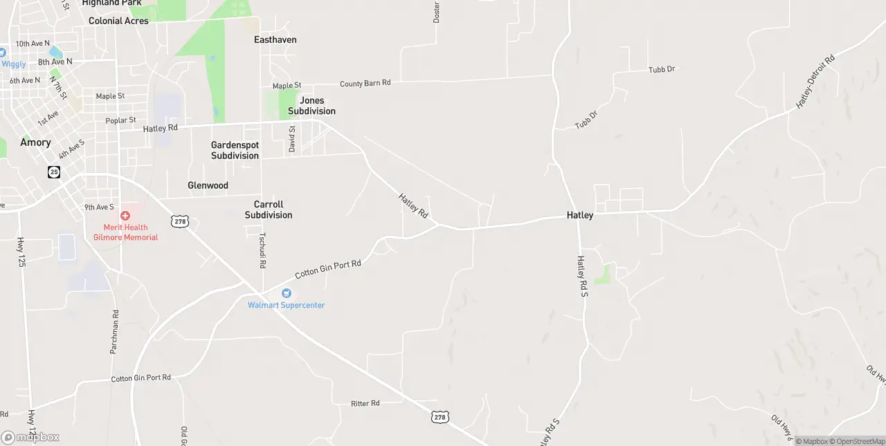Internet in Amory