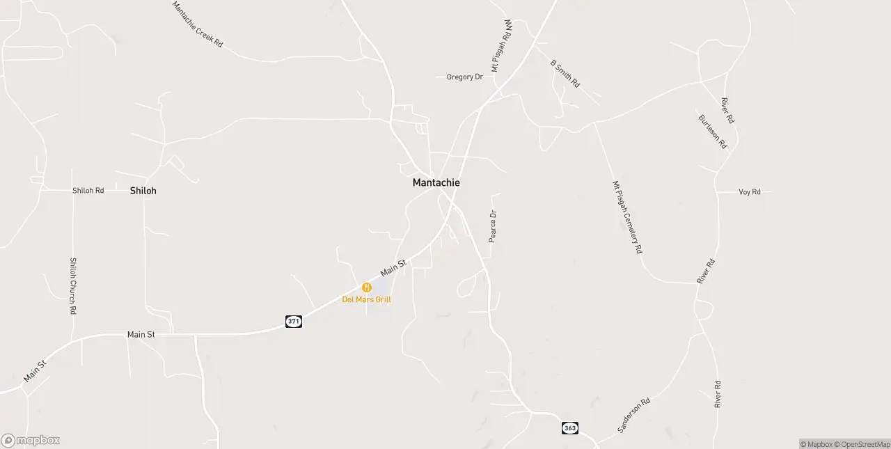 Internet in Mantachie