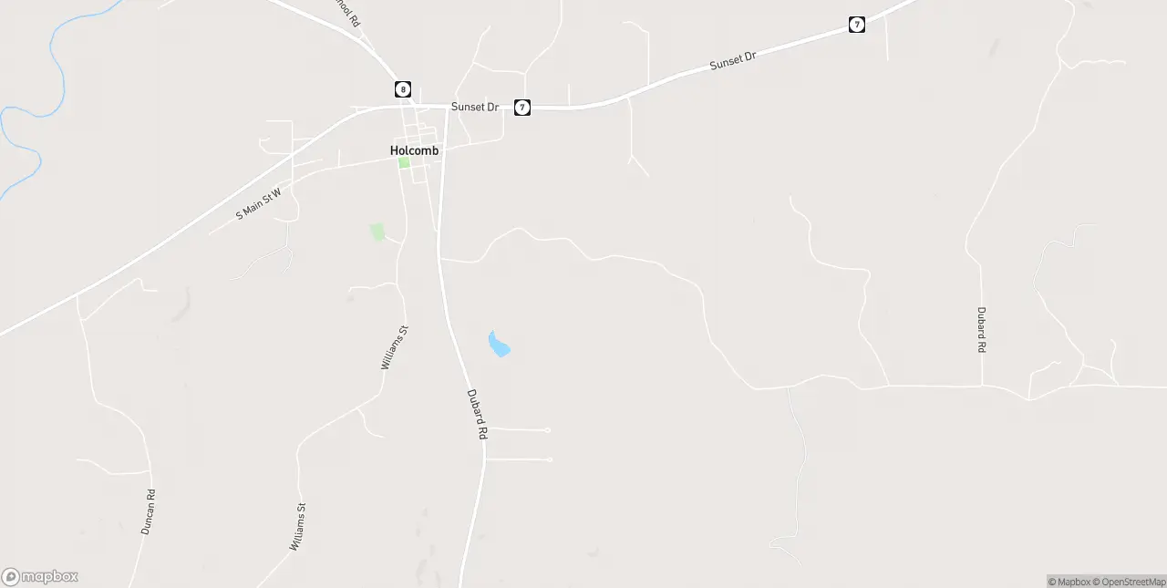 Internet in Holcomb