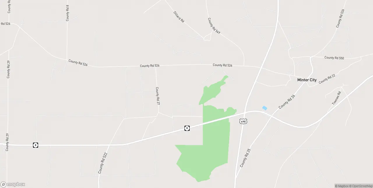 Internet in Minter City