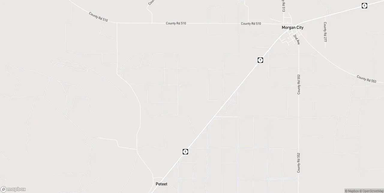 Internet in Morgan City