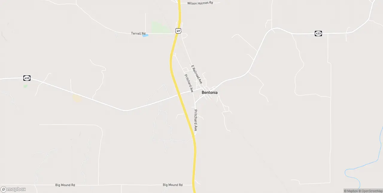 Internet in Bentonia