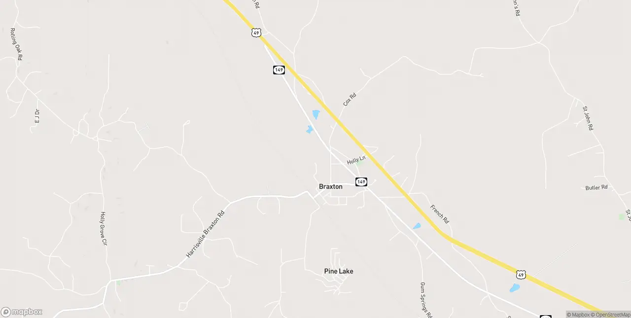 Internet in Braxton