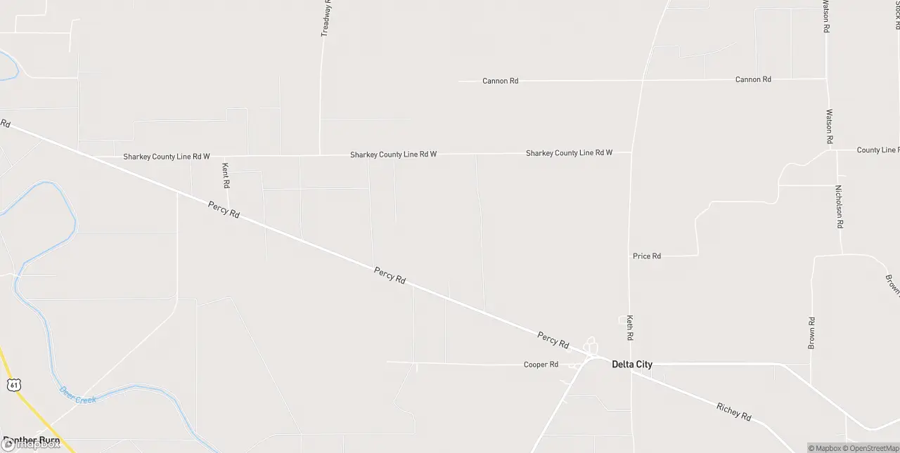 Internet in Delta City