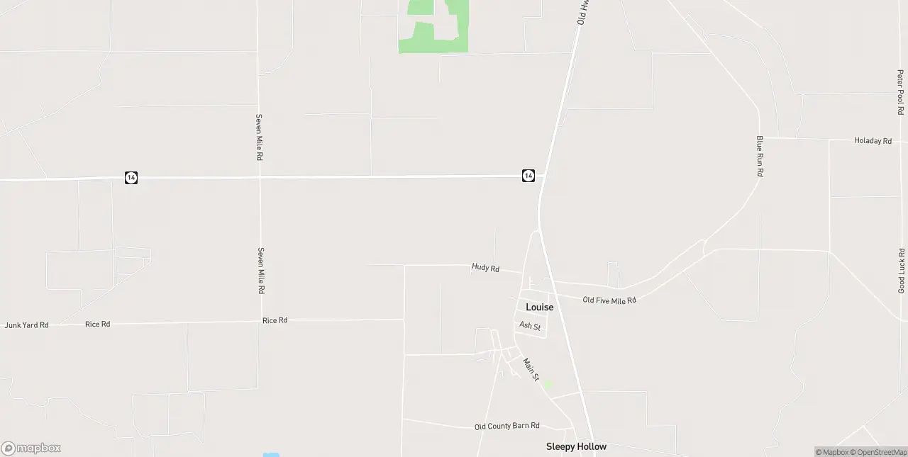 Internet in Louise