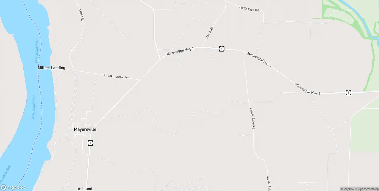 Internet in Mayersville