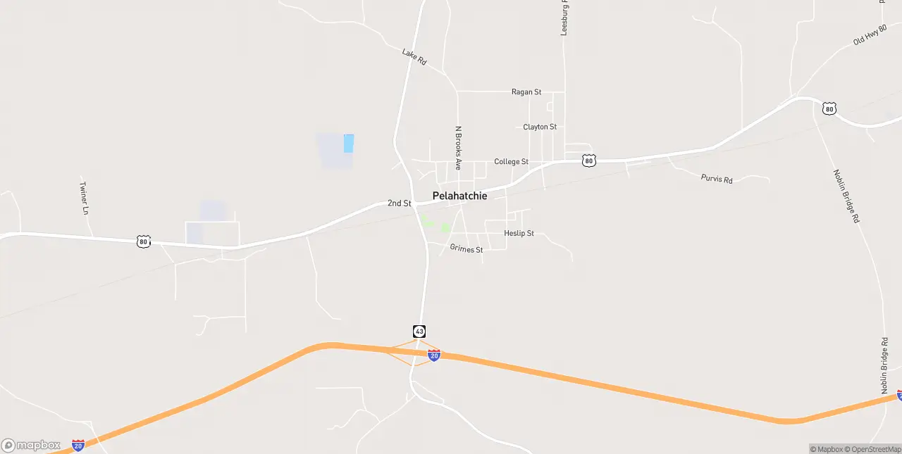 Internet in Pelahatchie