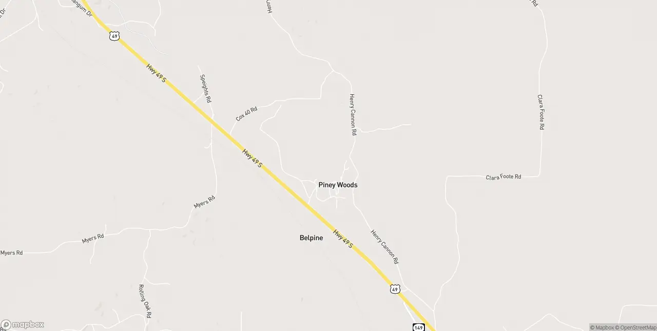 Internet in Piney Woods