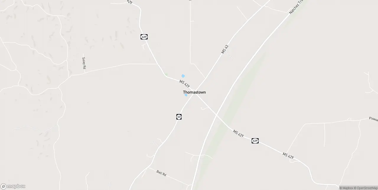 Internet in Thomastown
