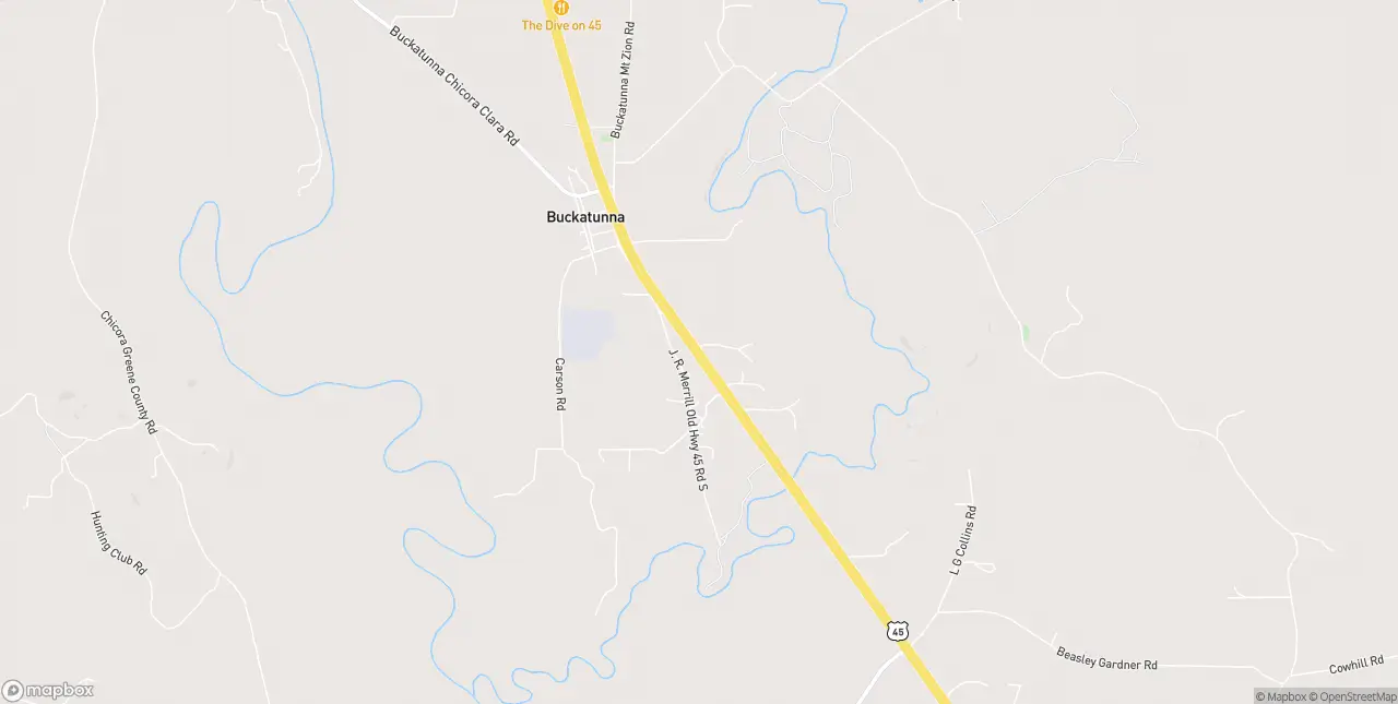 Internet in Buckatunna