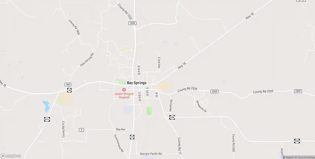 Internet in Bay Springs