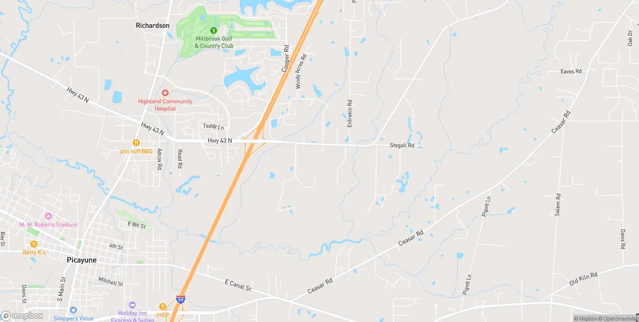 Internet in Picayune