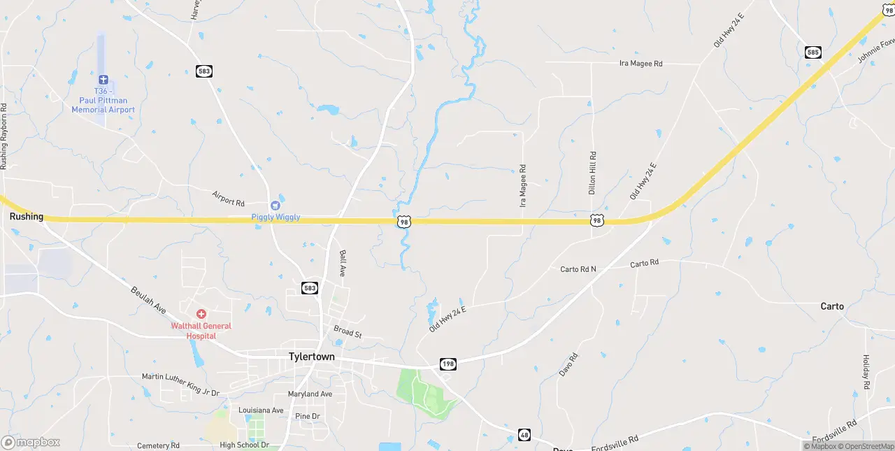 Internet in Tylertown