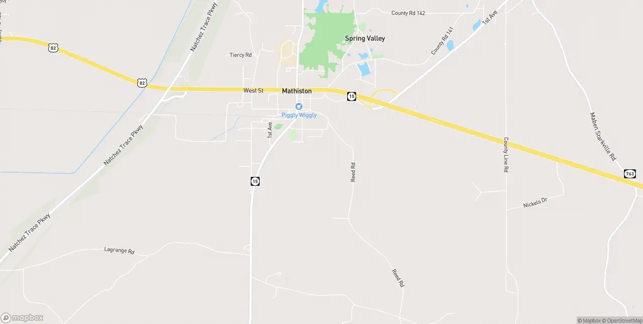 Internet in Mathiston