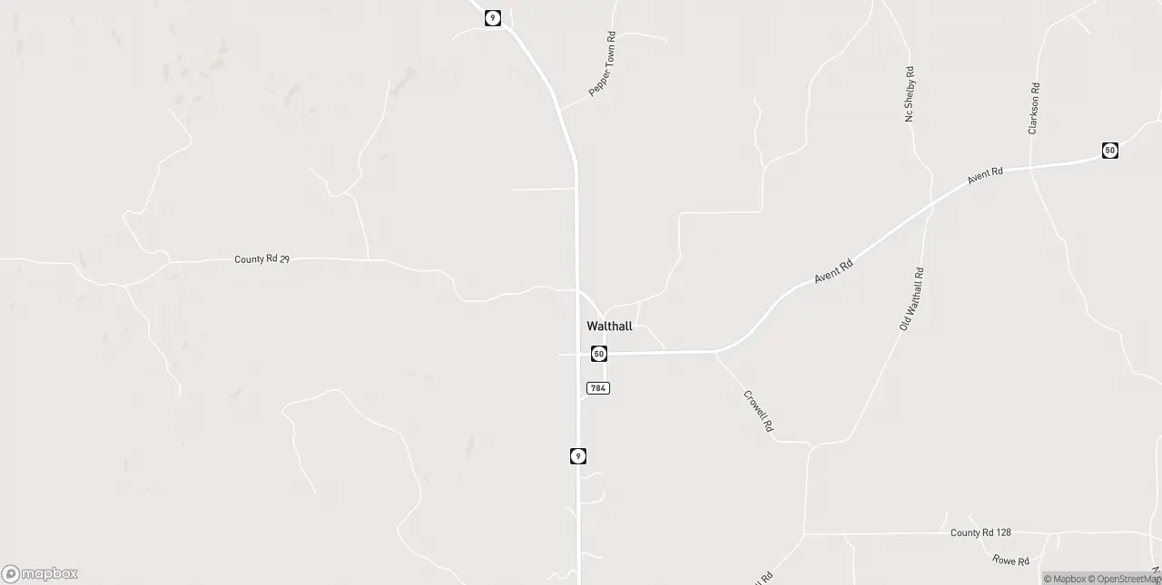 Internet in Walthall
