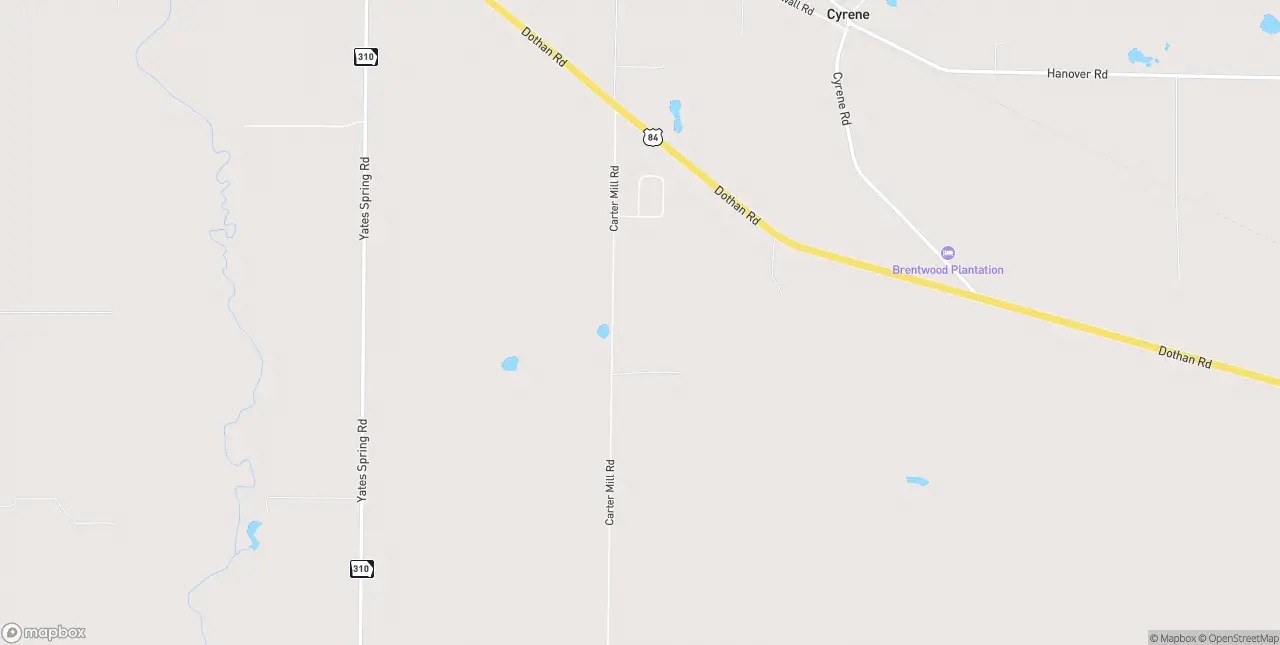 Internet in Brinson