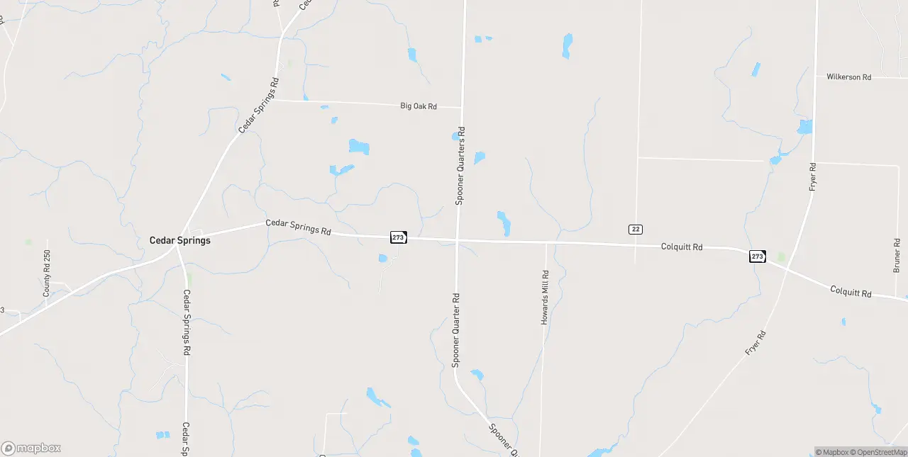 Internet in Cedar Springs