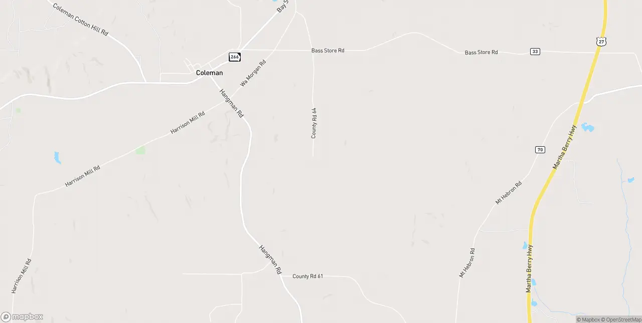 Internet in Coleman