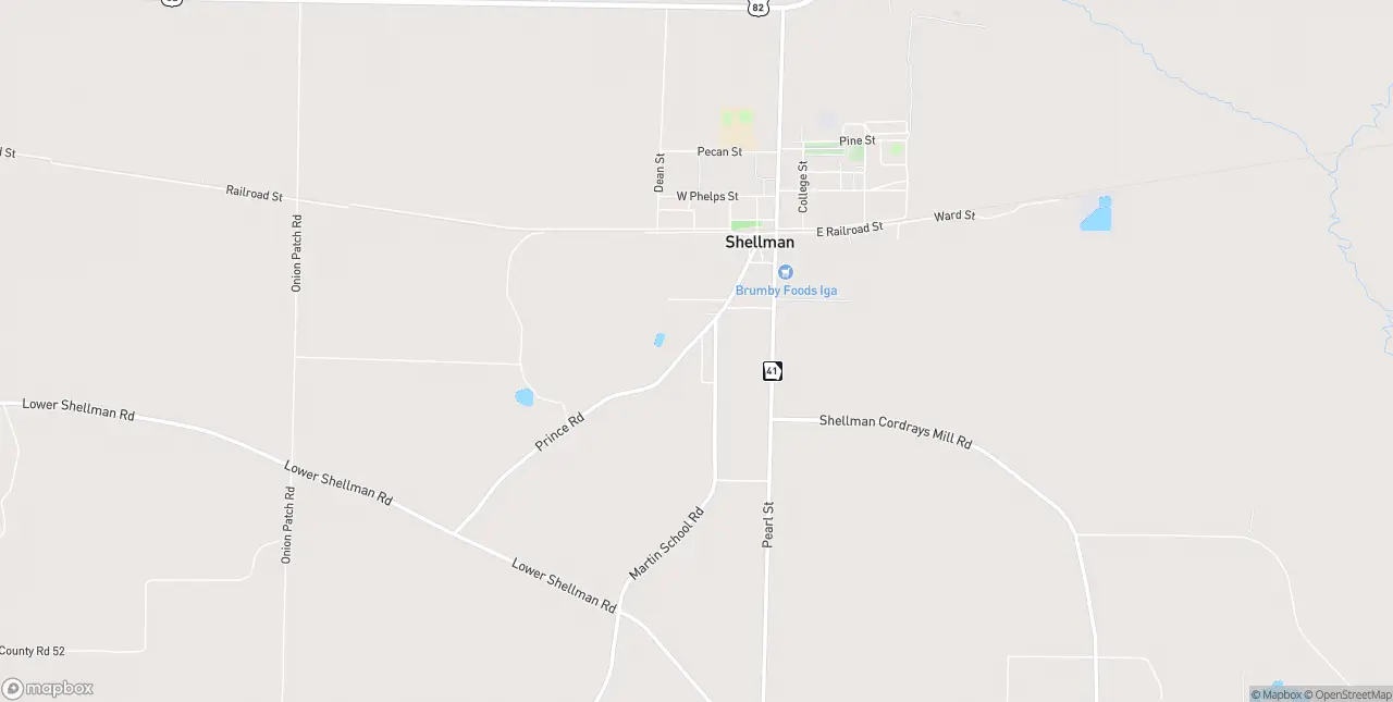 Internet in Shellman