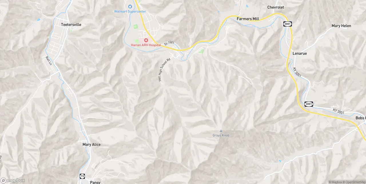 Internet in Grays Knob