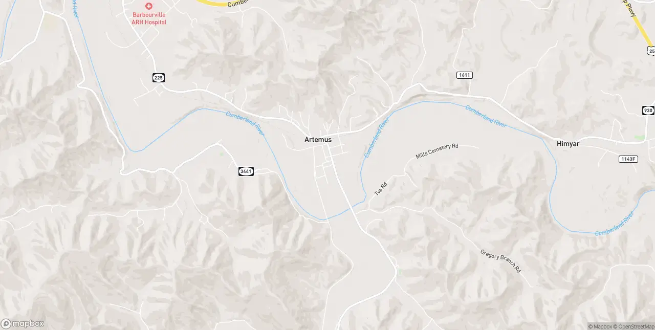 Internet in Artemus