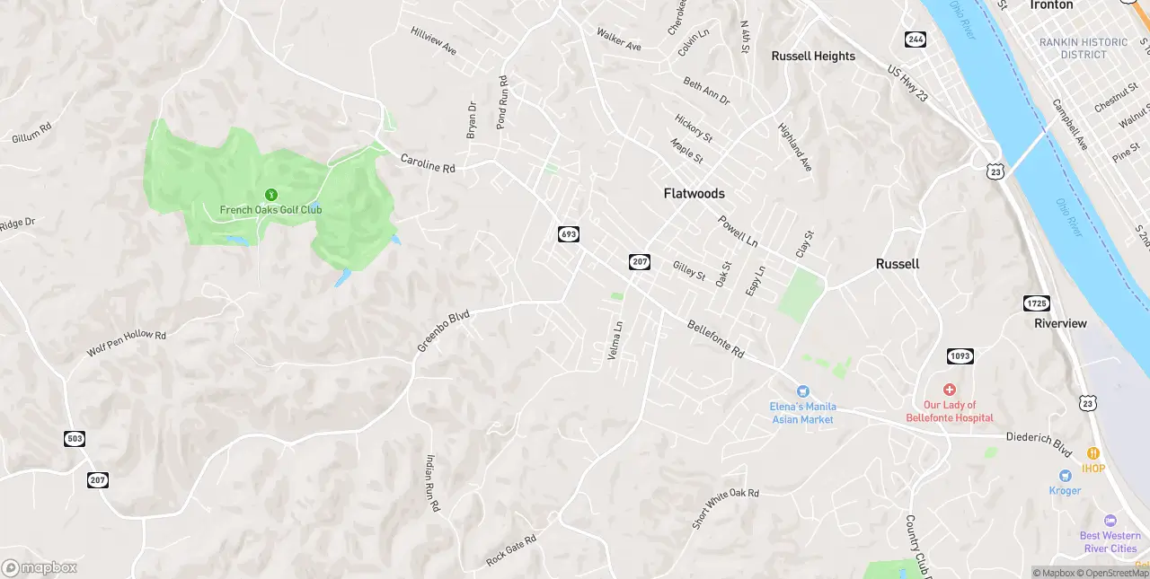 Internet in Flatwoods