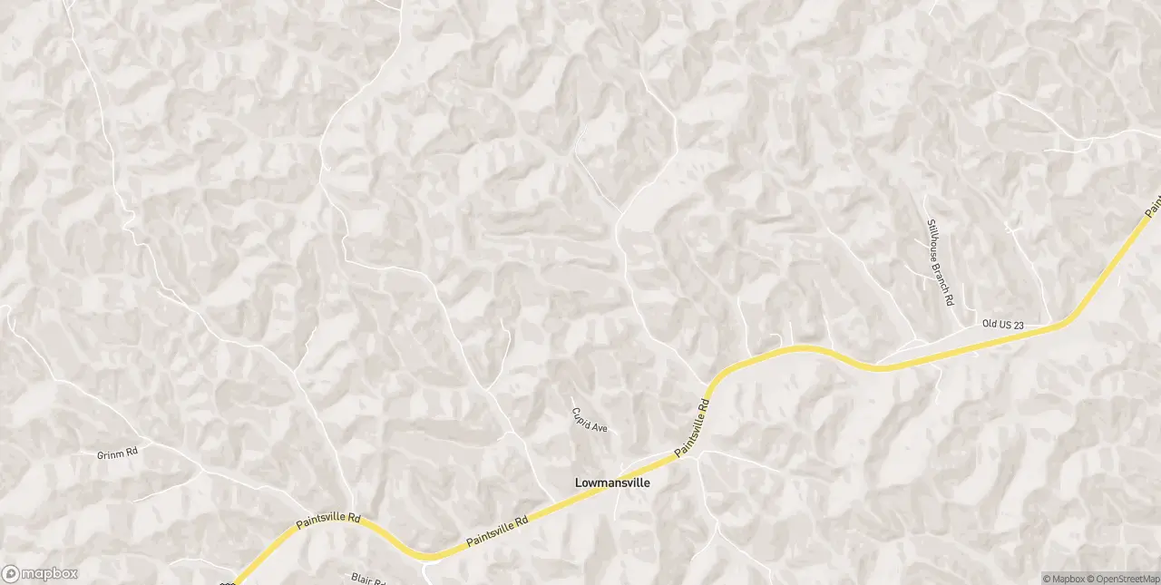 Internet in Lowmansville