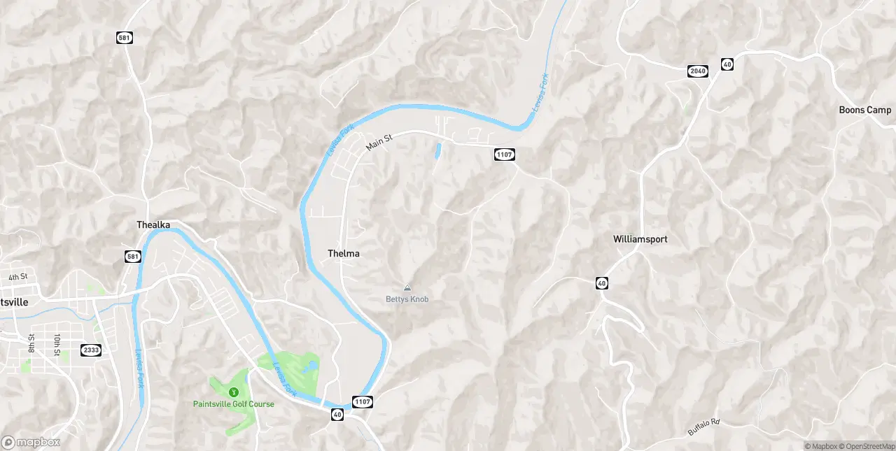 Internet in Thelma