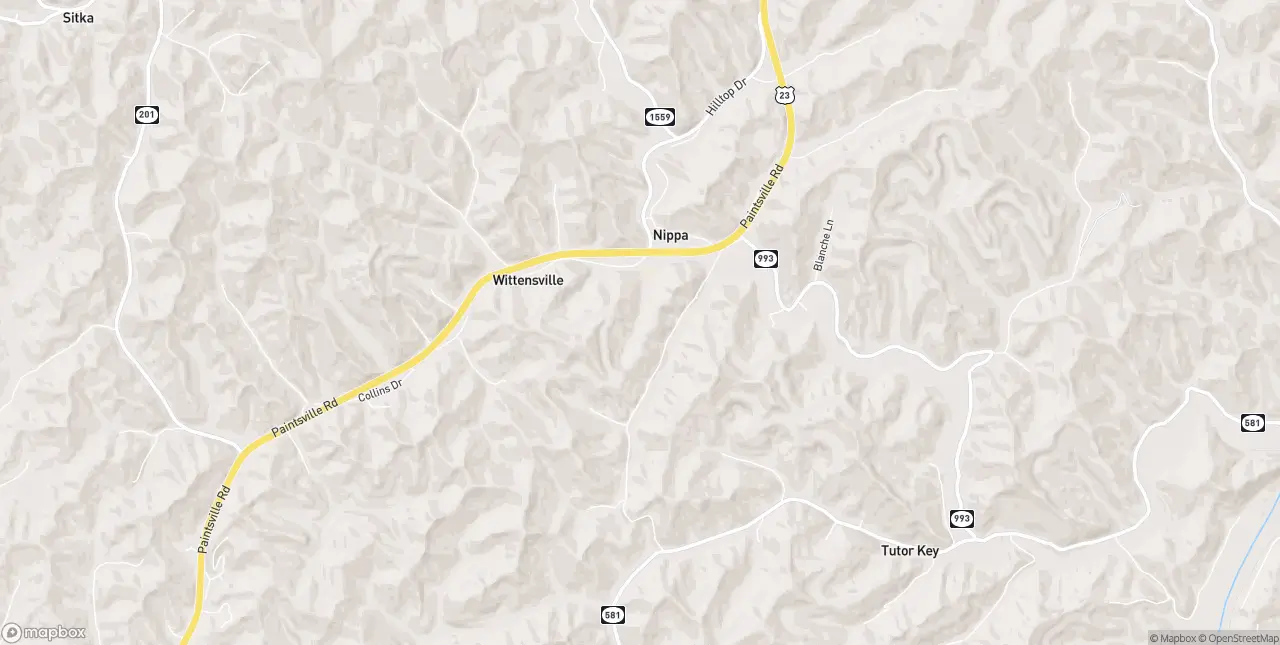 Internet in Wittensville
