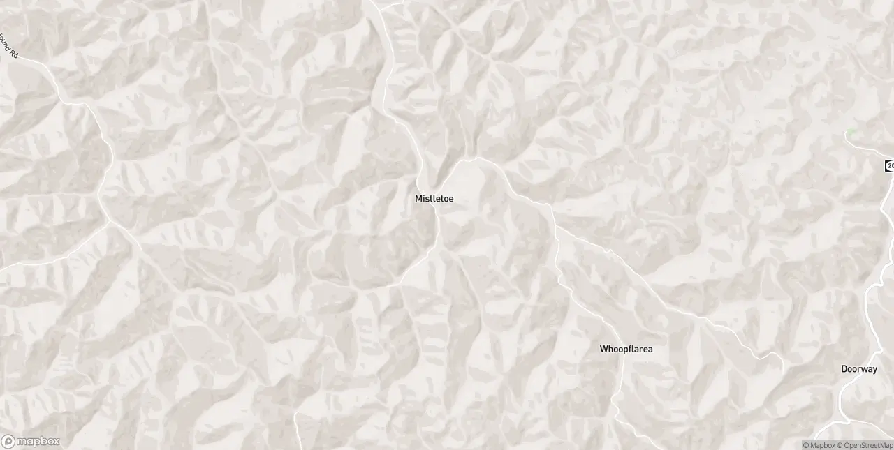 Internet in Mistletoe