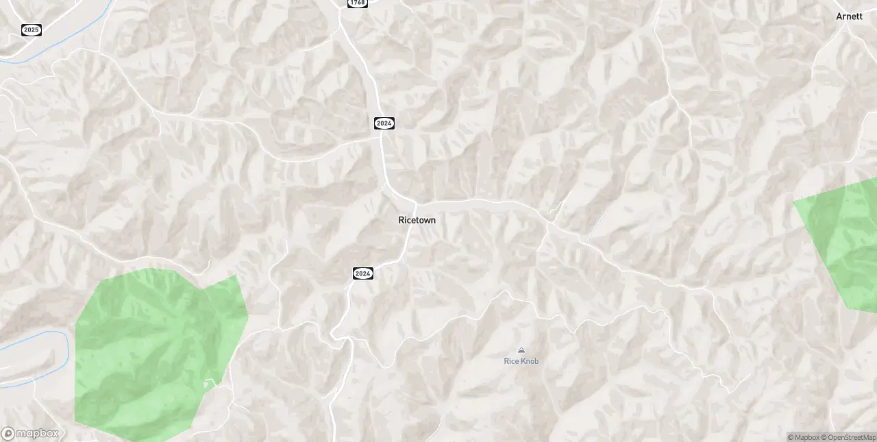 Internet in Ricetown